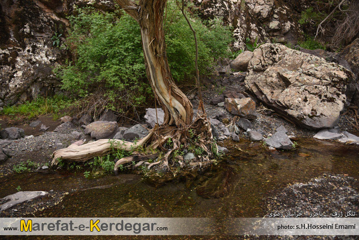 مناطق دیدنی استان خراسان رضوی مناطق دیدنی استان خراسان رضوی