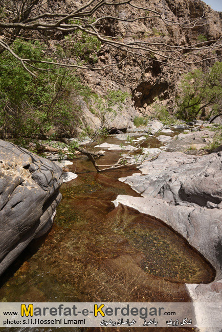 برنامه اکتشافی برنامه اکتشافی