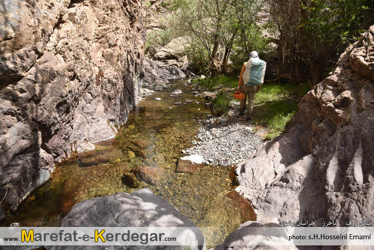 برنامه های اکتشافی برنامه های اکتشافی