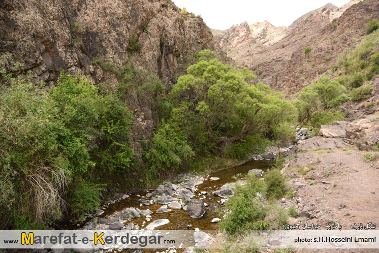 تنگل ژرف چهارطاق تنگل ژرف چهارطاق