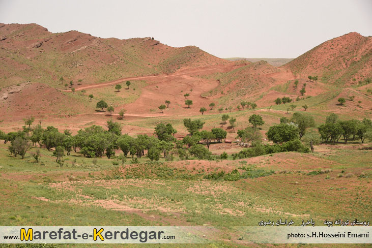 روستای تورانه