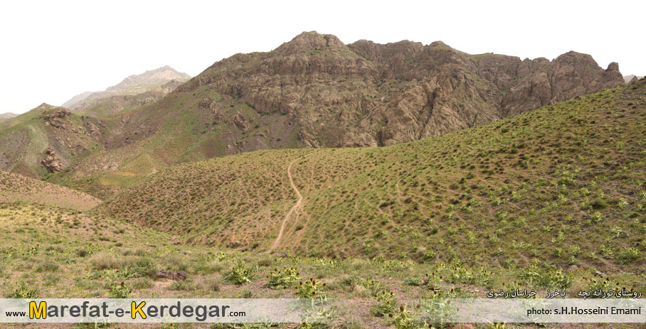 روستای تورانه