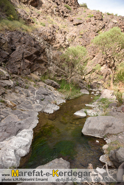 تنگل ژرف تنگل ژرف