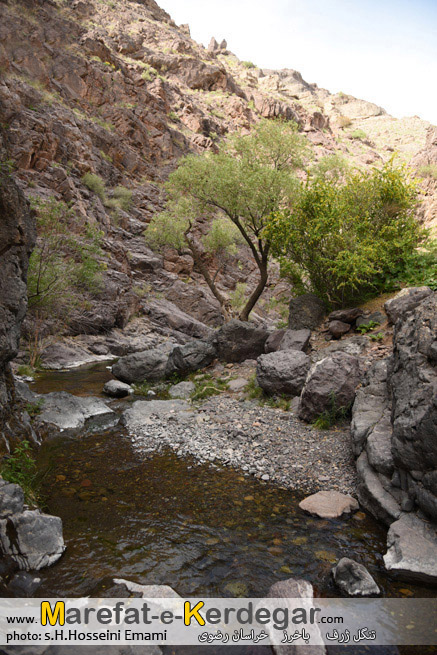 تنگل ژرف چهارطاق تنگل ژرف چهارطاق