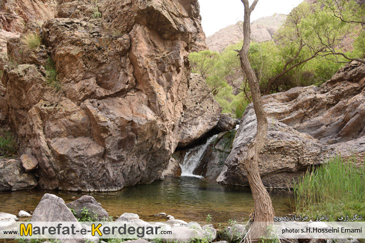 تنگل ژرف چهارطاق تنگل ژرف چهارطاق