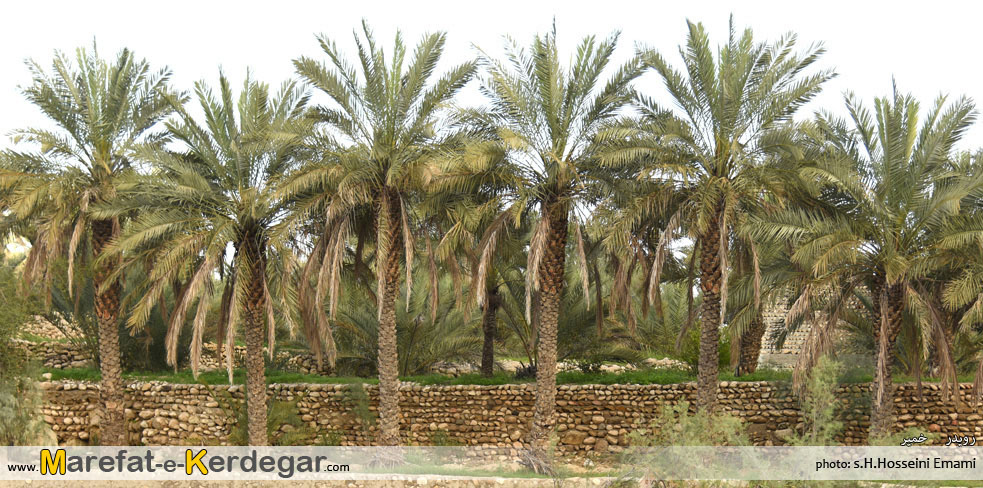 رویدر رویدر