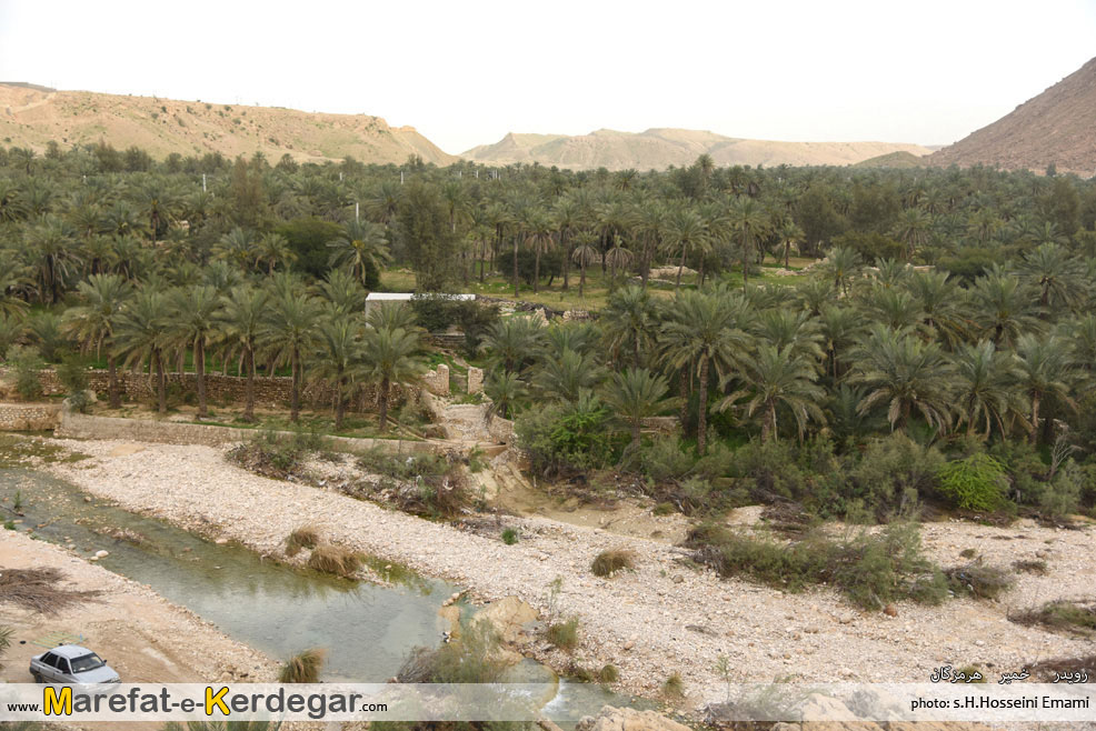 نخلستان رویدر نخلستان رویدر