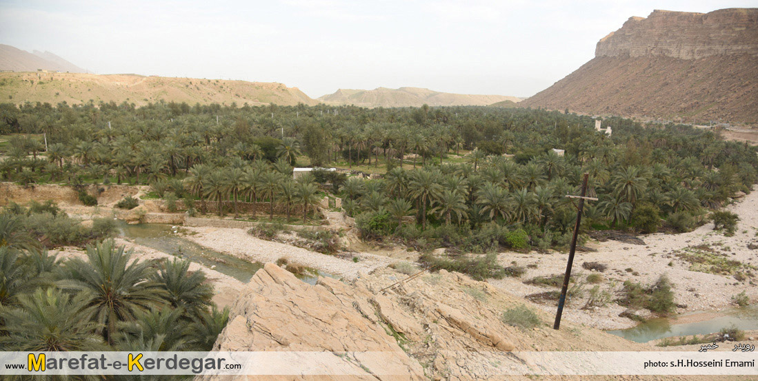 نخلستان های هرمزگان نخلستان های هرمزگان
