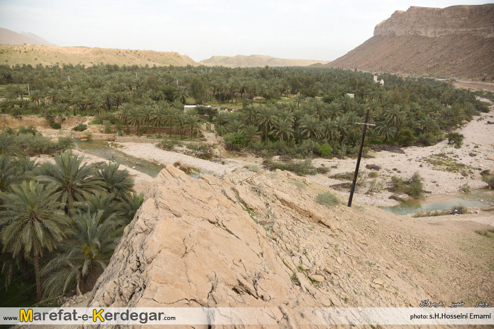 نخلستان های هرمزگان نخلستان های هرمزگان