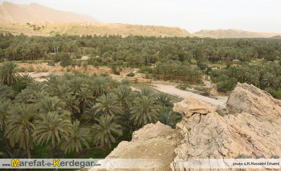 نخلستان های هرمزگان نخلستان های هرمزگان