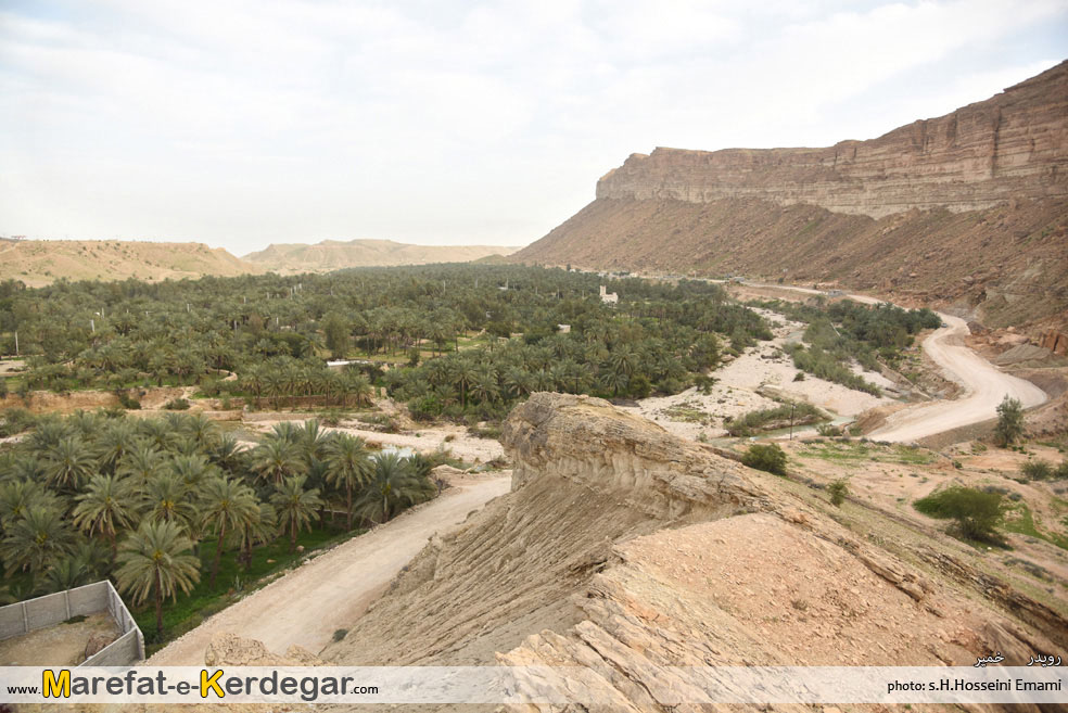 نخلستان های ایران نخلستان های ایران