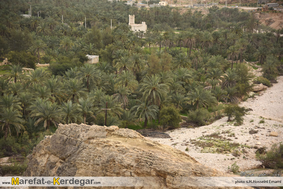 نخلستان های جنوب نخلستان های جنوب