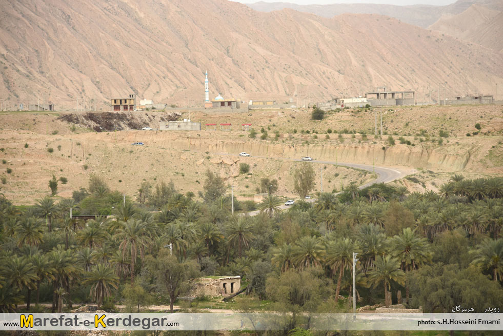 نخلستان های خمیر نخلستان های خمیر