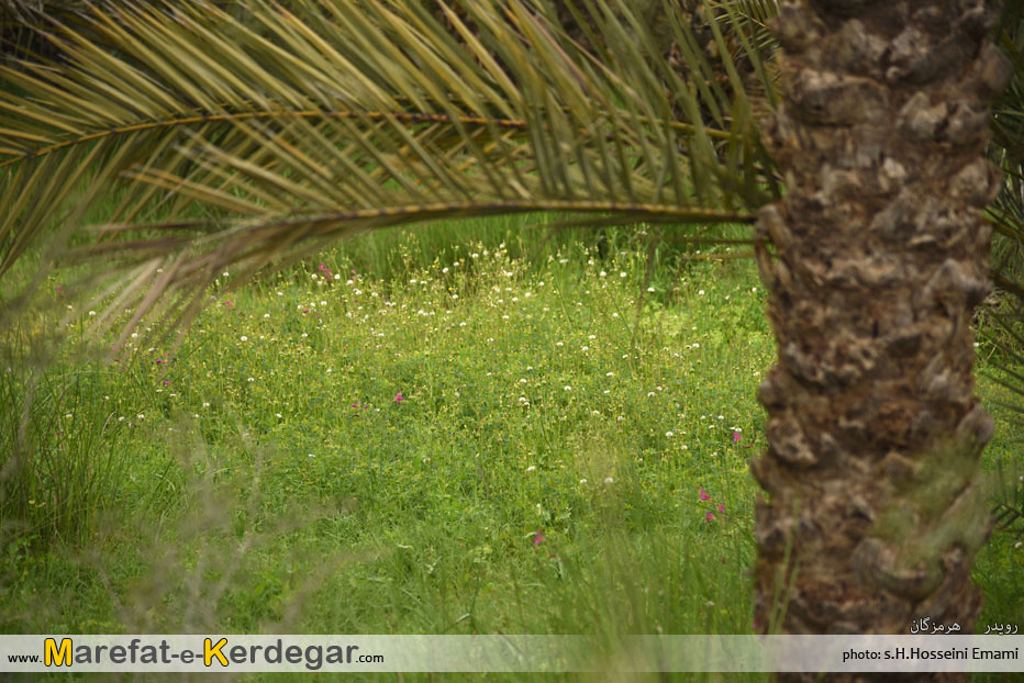 جاذبه های گردشگری رویدر جاذبه های گردشگری رویدر
