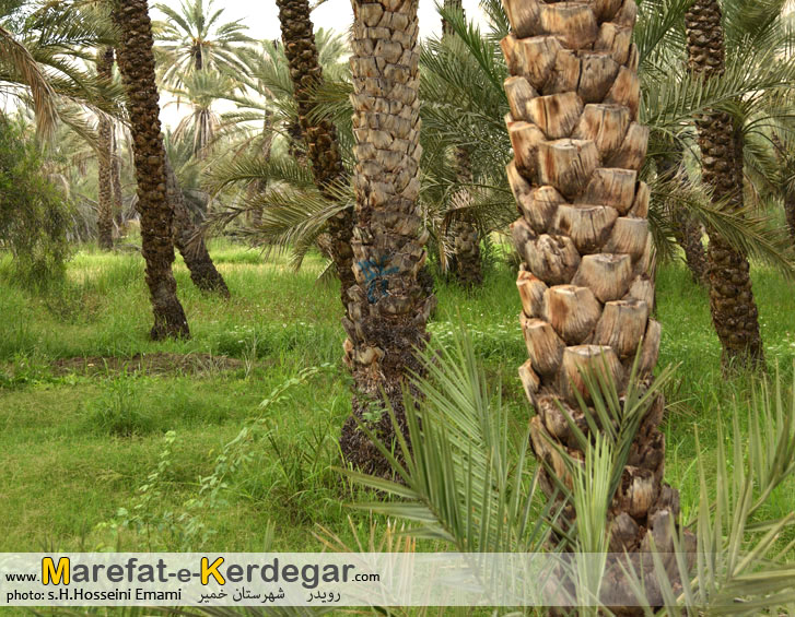 اماکن توریستی رویدر اماکن توریستی رویدر