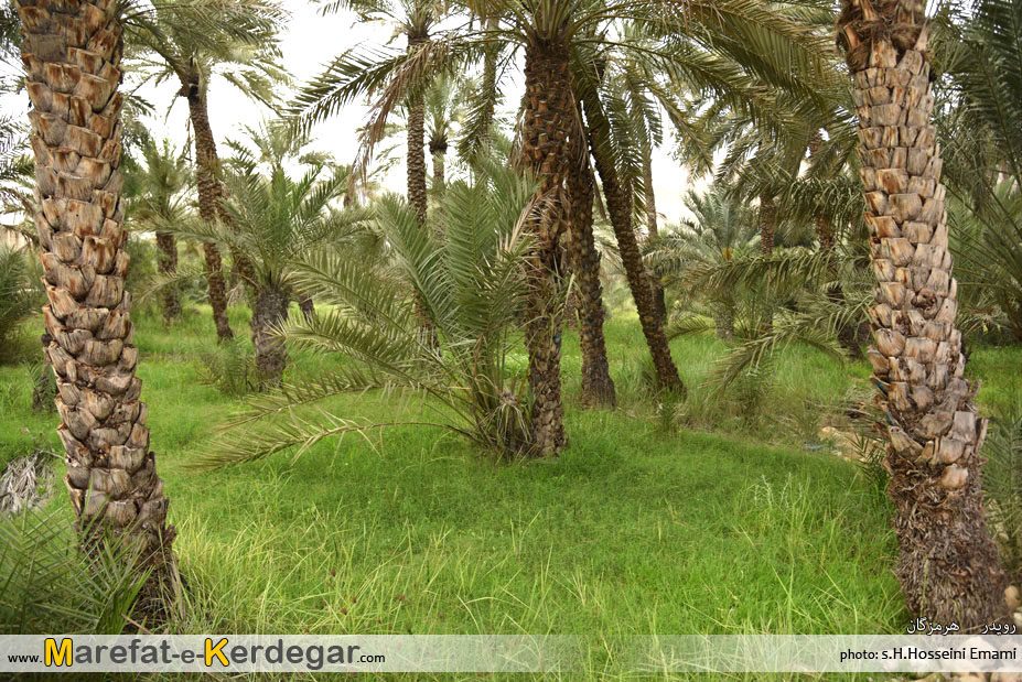 اماکن توریستی رویدر اماکن توریستی رویدر