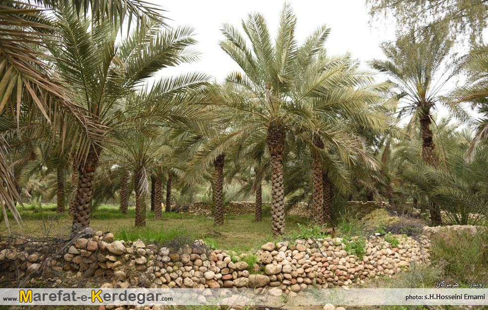 شهر زیبای رویدر شهر زیبای رویدر