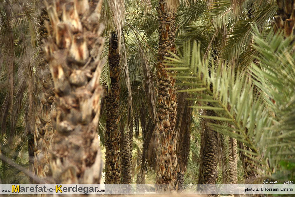 دیدنی های بندرخمیر دیدنی های بندرخمیر