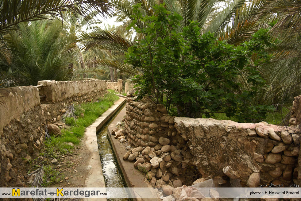 نخلستان های ایران نخلستان های ایران
