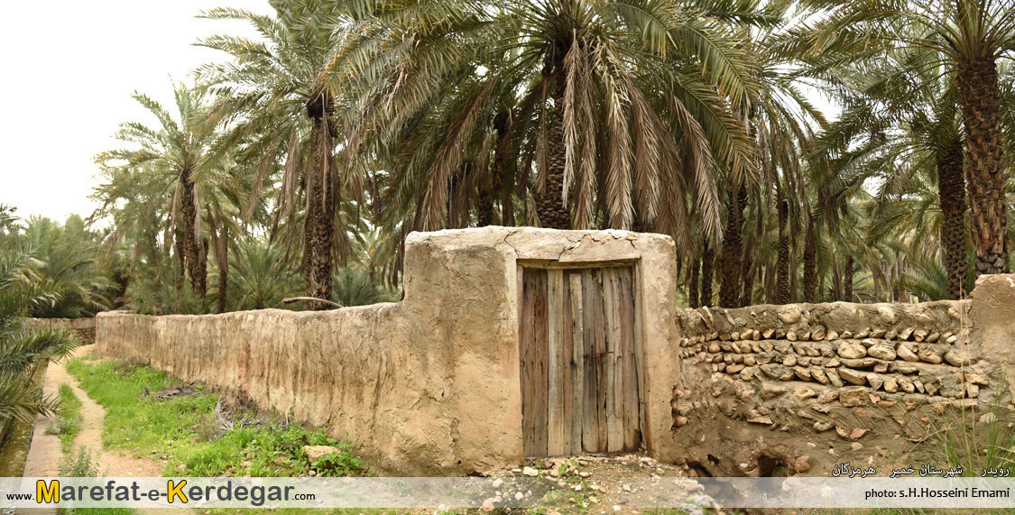 نخلستان های شهرستان خمیر نخلستان های شهرستان خمیر