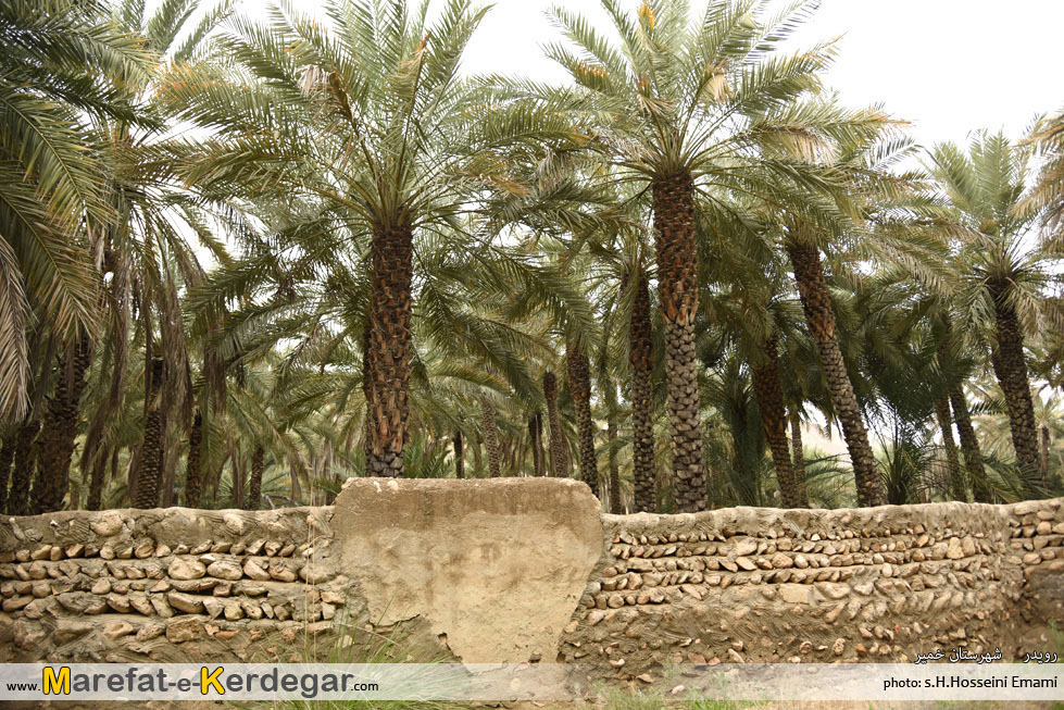 نخلستان های شهرستان خمیر نخلستان های شهرستان خمیر