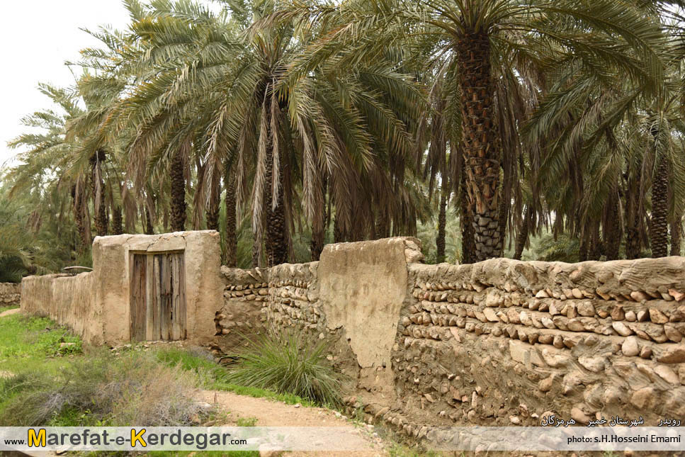 نخلستان رویدر نخلستان رویدر