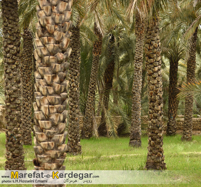 جاذبه های گردشگری بندر خمیر جاذبه های گردشگری بندر خمیر