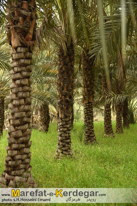 مناطق گردشگری ایران