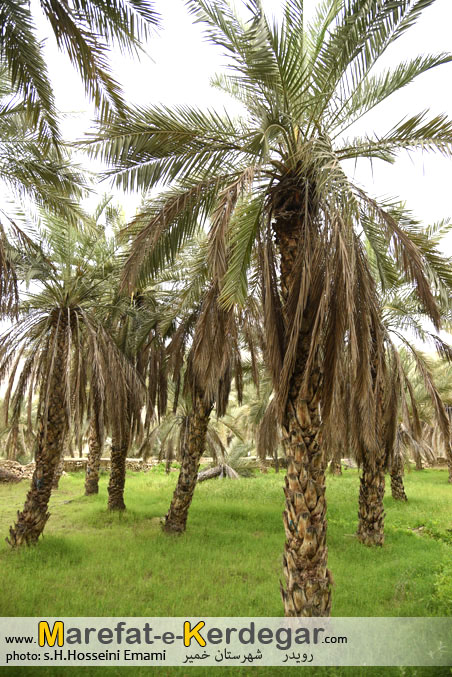 اماکن توریستی شهرستان خمیر اماکن توریستی شهرستان خمیر