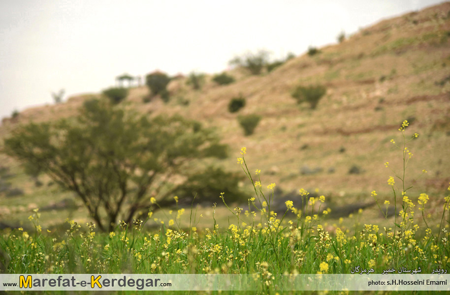 گردشگری رویدر