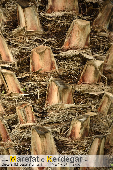 اماکن توریستی بندرخمیر اماکن توریستی بندرخمیر