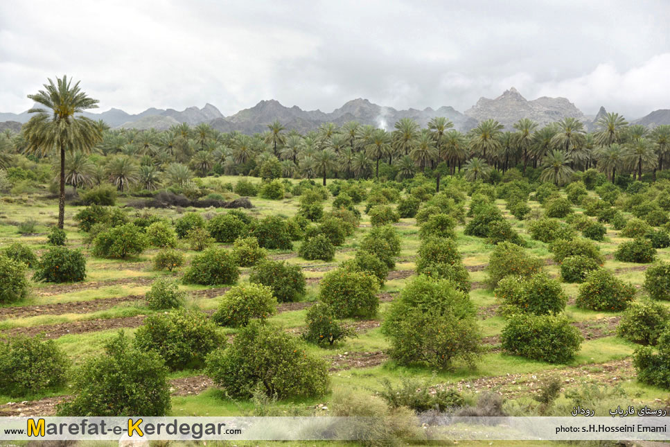جاذبه های طبیعی رودان جاذبه های طبیعی رودان