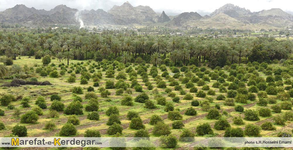 جاذبه های گردشگری رودان جاذبه های گردشگری رودان