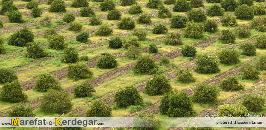 دیدنی های رودان دیدنی های رودان