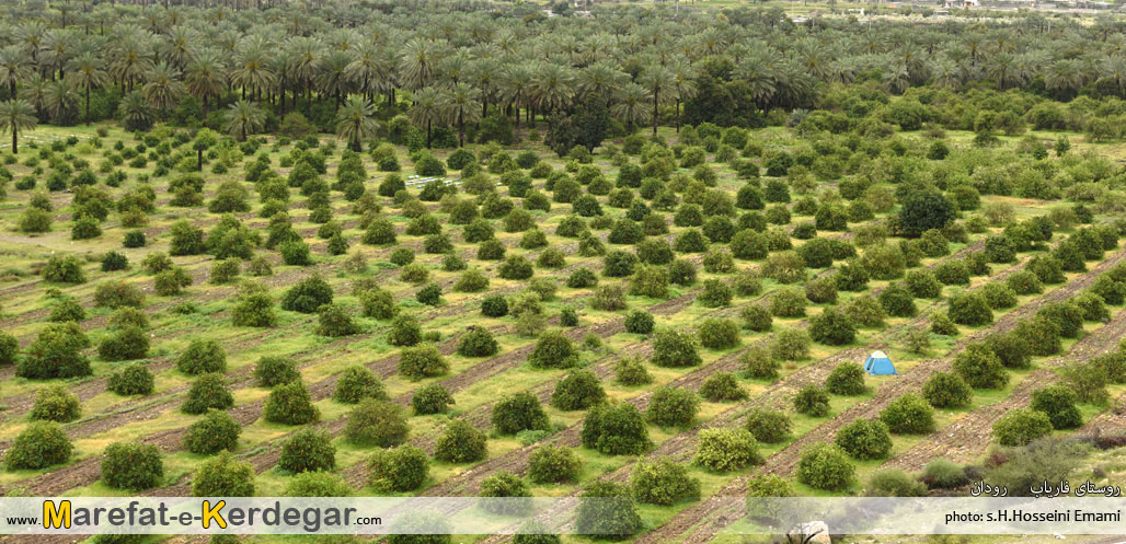 مرکبات رودان مرکبات رودان