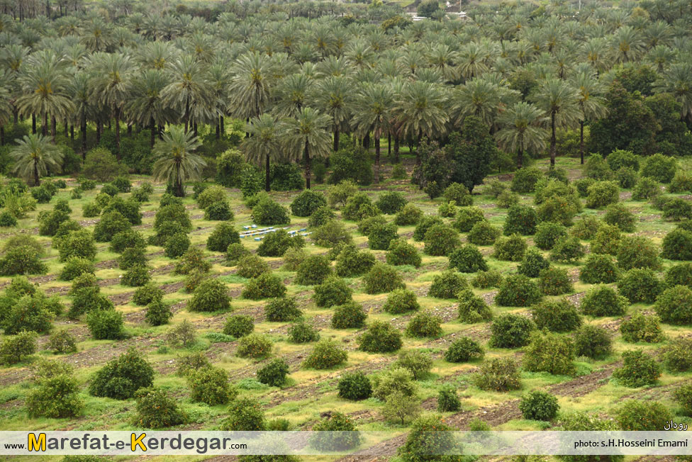 نارنگی رودان نارنگی رودان