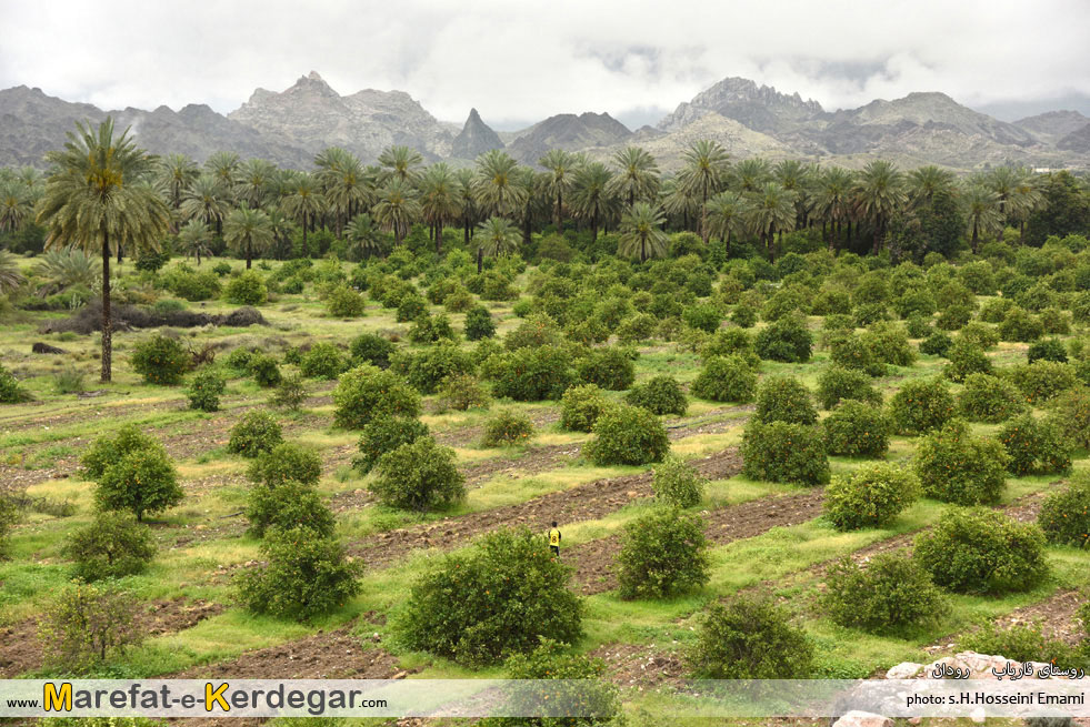 روستای فاریاب رودان روستای فاریاب رودان
