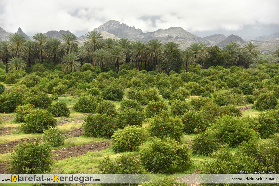 روستای فاریاب رودان