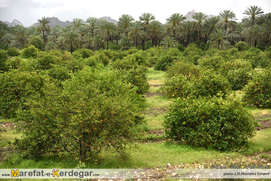 جاذبه های گردشگری رودان