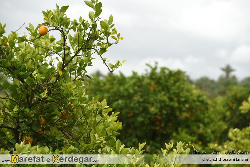 جاذبه های گردشگری رودان جاذبه های گردشگری رودان