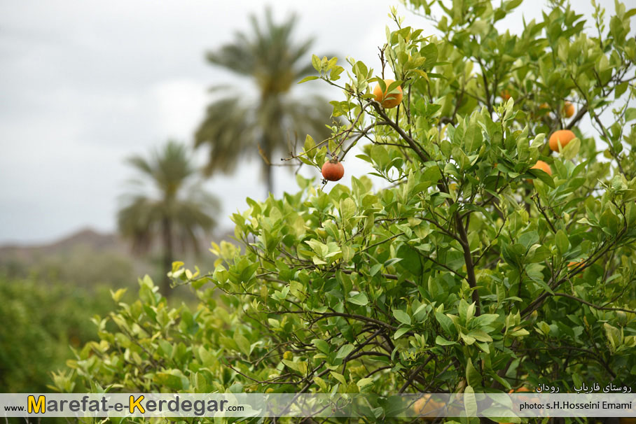 جاذبه های گردشگری هرمزگان جاذبه های گردشگری هرمزگان