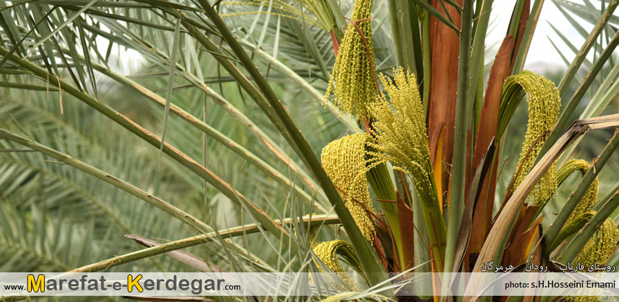 جاذبه های گردشگری استان هرمزگان جاذبه های گردشگری استان هرمزگان