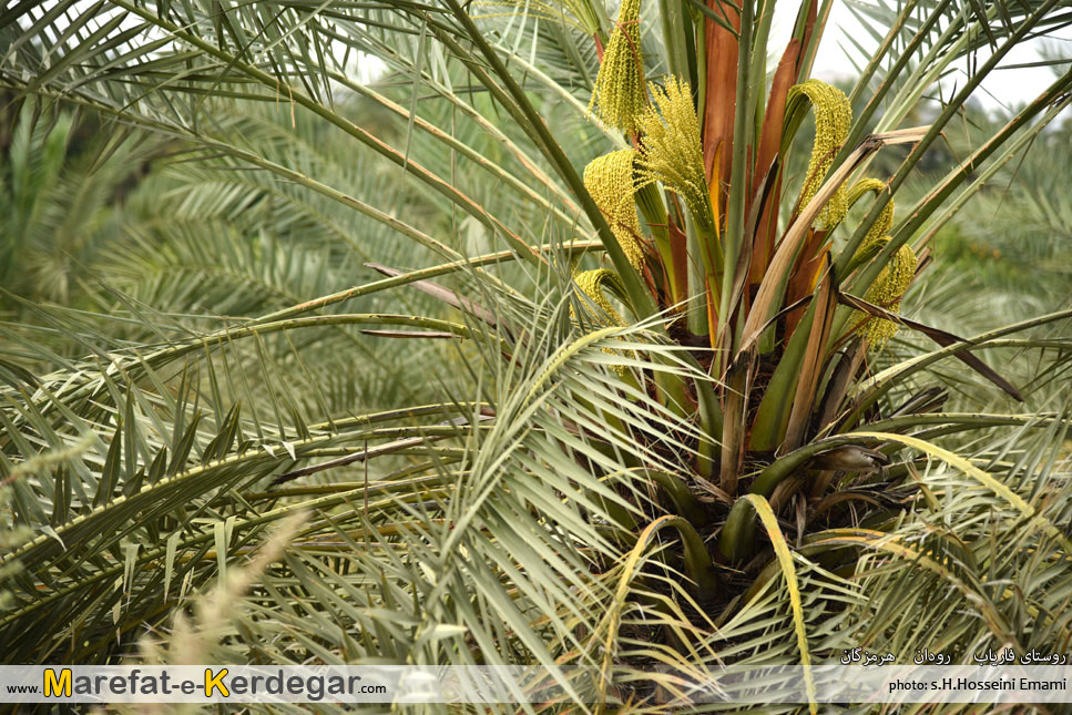 جاذبه های گردشگری استان هرمزگان جاذبه های گردشگری استان هرمزگان