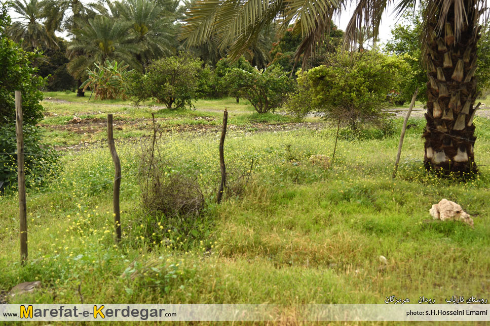 جاذبه های گردشگری استان هرمزگان جاذبه های گردشگری استان هرمزگان