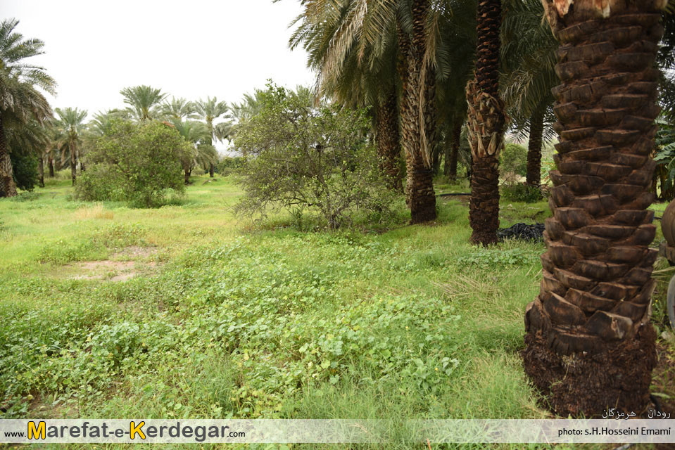 جاذبه های گردشگری هرمزگان جاذبه های گردشگری هرمزگان