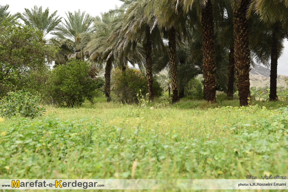 جاذبه های گردشگری استان هرمزگان جاذبه های گردشگری استان هرمزگان