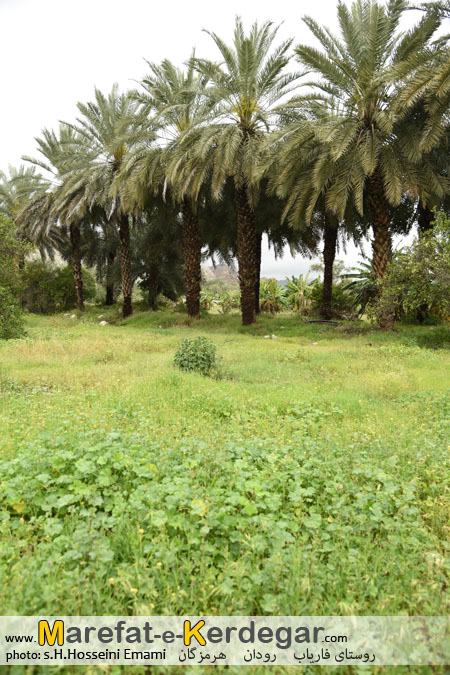 جاذبه های گردشگری استان هرمزگان جاذبه های گردشگری استان هرمزگان