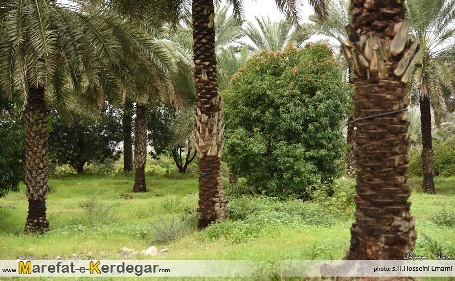 جاذبه های طبیعی رودان جاذبه های طبیعی رودان