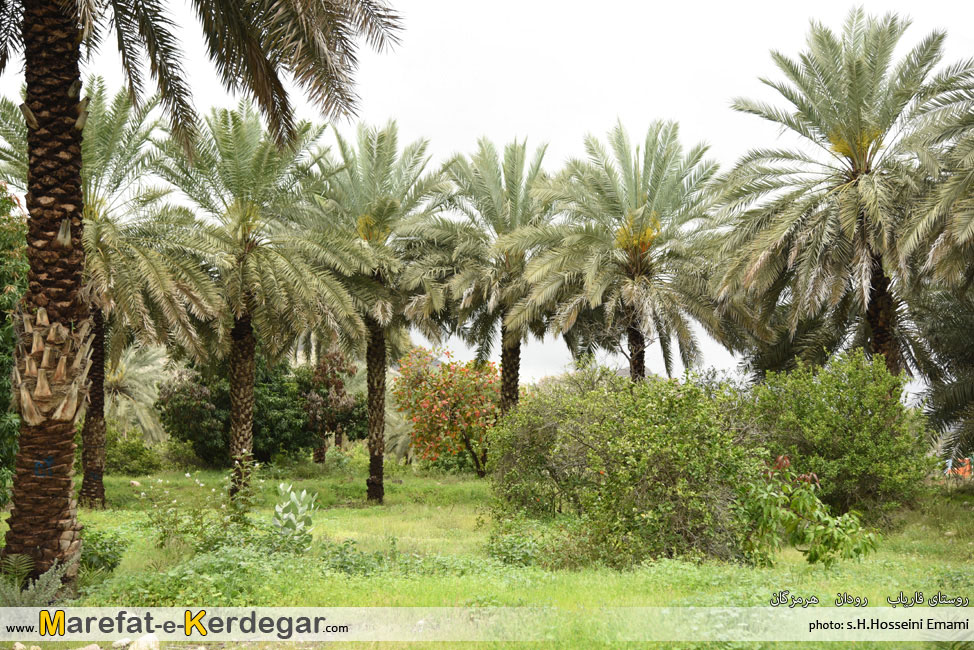 جاذبه های طبیعی رودان جاذبه های طبیعی رودان