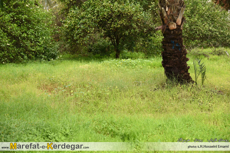 جاذبه های طبیعی رودان جاذبه های طبیعی رودان